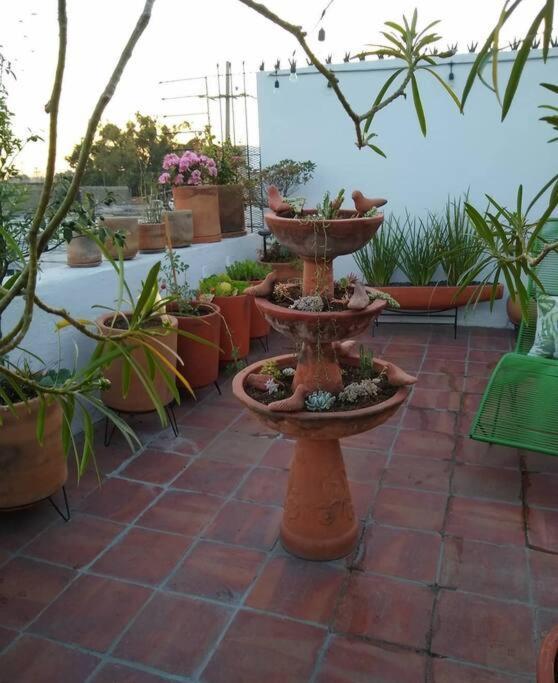 瓜达拉哈拉Casa Cuauhtemoc别墅 外观 照片